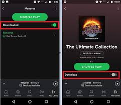 How To Download Spotify Songs To Play Offline Songs Music