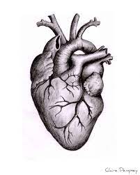 Check spelling or type a new query. 16 Anatomy Heart Drawing Anatomical Heart Drawing Human Heart Drawing Heart Drawing