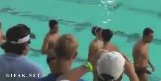 Water Polo Gifs Wifflegif There are four styles to choose from, each a different color and motion. water polo gifs wifflegif
