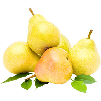 نهال گلابی کوشیا