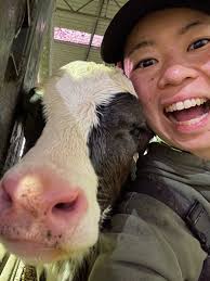 We are a couple from Italy and Japan, Enrico and Airi, 28-31 y/o, we're  looking for dairy farm job with a long term work relationship leading to  the possibility of a sponsorship.