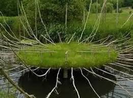 ã€Œandy goldsworthyã€çš„åœ–ç‰‡æœå°‹çµæžœ