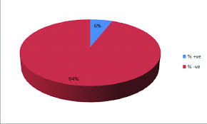 A Pie Chart Showing The Number Of Positive And Negative