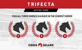 Electric cars racing on a horse track made left turns, like the horses did. Trifecta Bet Explained Horse Racing Odds Shark