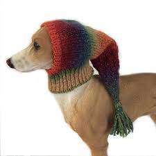 Extra Kleiner Hund Snood Orange Italienischer Windhund Snood Whippet Kleiner Hundehut Dogclo Hunde Pullover Hunde Pullover Stricken Hunde Bekleidung