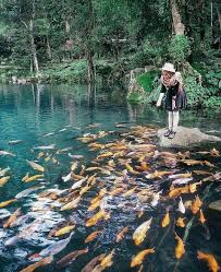 Plan to visit telaga biru lake, indonesia. Pin On Adventure