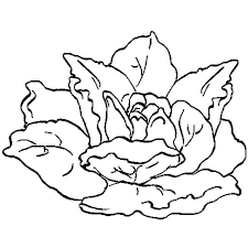 12 luxe de coloriage salade photographie power rangers livre bibi blocksberg