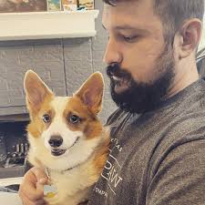  Tosh (@tosh.corgi) • Instagram photos and videos