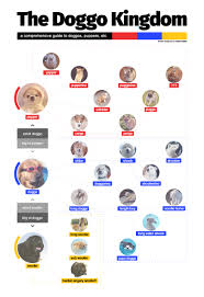 a guide to puppers doggos and woofers x post r