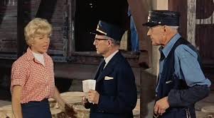 Image result for It Happened to Jane 1959 