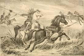 Kostenloser versand und blitzschnelle lieferung. What Happened To The Wild Horses Of Texas Texas Standard