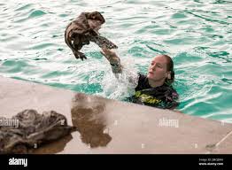 Anna carter hi-res stock photography and images - Alamy