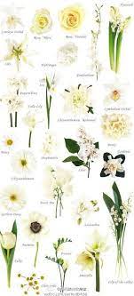 They regularly placed cut flowers in vases. White Flowers Wedding Flower Types White Flowers Names White Wedding Flowers