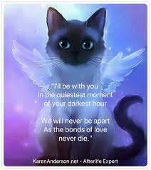 Pet Loss Pet Grief Pet Remembrance Pet Poems