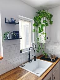 10 Best Indoor Plants Archareer In 2020 Above Kitchen Cabinets New Homes Kitchen Plants