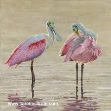 Birds For Sale In Florida Carol Mcardle Bird Paintings Birds Painting Paintings For Sale Grape Painting