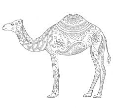 Pin On Dessin
