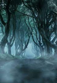 Cold Morning In Northern Ireland By Jaroslaw Blaminsky Podsms Photography Dark Landscape Wattpad Background Dark Hedges