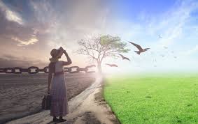The Life Model - Article 1: My Personal Life Model Story - The Center for  Family Transformation