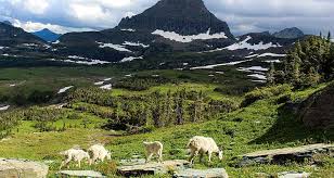 Get more info about montana state parks! Five Don T Miss Spots In Glacier National Park Our Essential List
