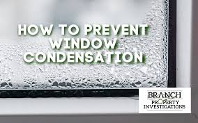 Window condensation can ruin your view, your paint, and your health where issues persist and turn to mold. How To Prevent Window Condensation Branch Property Investigations