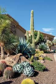 Why pay high fees to get the ca white pages directory listings when you can find use rowland heights people search to find all the phone numbers and directory assistance (411) at the rowland heights ca community website on americantowns.com. 170 Homes Cactus Garden Ideas In 2021 Cactus Garden Desert Garden Desert Landscaping