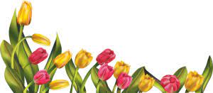 Web Development Clip Art Borders Flower Border Clipart Flower Clipart