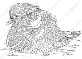 Coloring Page For Adults Digital Coloring Pages Mandarin Etsy In 2020 Coloring Books Cat Coloring Book Coloring Pages