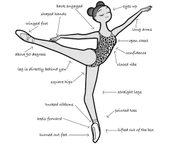 However, many ballet dancers do start on the average age of 6 to 8 years old. 9 Basic Ballet Terms Benefits Ballet Body Sculpture