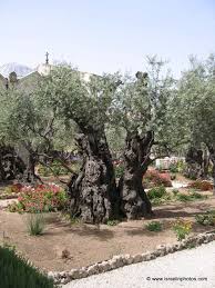 Where To Stay In Eilat Mit Bildern See