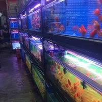Kedai belum buka tp dah 20 org beratur. Kedai Aquarium Sa Fish World No 7 Jln Tukul P15 P