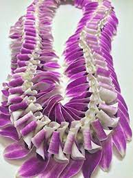 Fresh Flower Lei Mala Flowersnhoney Fresh Flowers And The Best Honey Flower Lei Fresh Flowers Flowers