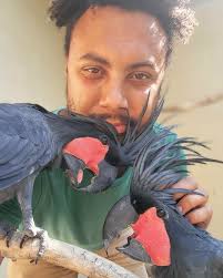 Anton Morrison (@antonswildlife) · Instagram photos and videos