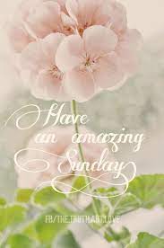  Have An Amazing Sunday Sunday Greetings Sunday Wishes Happy Sunday Quotes