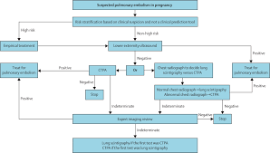 A pulmonary embolism (pe) occurs when there is a blockage in the lung (pulmonary) arteries. Comparison Of International Societal Guidelines For The Diagnosis Of Suspected Pulmonary Embolism During Pregnancy The Lancet Haematology