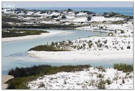Grayton Beach State Park Dunes Western Lake Outlet Southwalton Beach Sowal 30a Dunes Grayton Beach State Park Beach Vacation Planning State Parks
