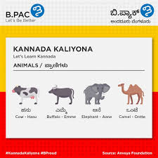 ಕನ್ನಡ ವಾರ್ತೆಗಳು) from various online sources that publish their content in the unicode format that's kannada (kannada: B Pac On Twitter Day 25 What Does The Fox Say We Don T Know But Learn How To Say Fox In Kannada Happy Practicing Donkey Monkey Fox Deer Buy The Booklet Https T Co Zveods15de Web