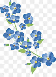 You can also click related recommendations to view more background images in our huge database. Forget Me Not Png Forget Me Not Flowers Forget Me Not Border Forget Me Not Art Forget Me Not Day Forget Me Not Cookies Forget Me Not Gifts Forget Me Not