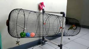 Bagi warga depok dan sekitarnya, silahkan memesan jasa sangkar besi burung lovebird kepada kreasindo. Kandang Umbaran Kapsul Youtube