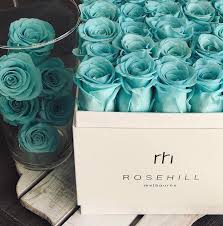 Will update the stars in future once it flowers and i can see if it really is the blue dahlia. Flowers Aesthetic And Tiffany Blue Image 7596668 On Favim Com