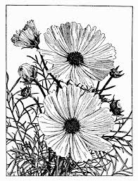 Black And White Flower Crown Drawing Happy New Year Everyone Flower Drawing Poppy Drawing Poppy Flower