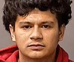 Wanted man found in van with drugs