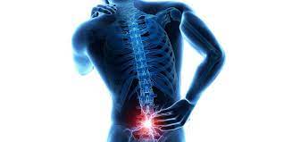 Je porte des charges lourdes. Comment Reduire Les Douleurs Dans Le Bas Du Dos A Vtt Utagawavtt Articles Sur Le Vtt Et Le Vae