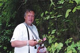 Image result for Habenaria splendentior