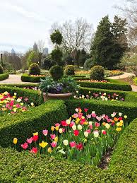 Adjacent to piedmont park, atlanta botanical garden comprises a stunning 30 acres (12 hectares) of indoor and outdoor themed gardens, woodland areas, brooks, fern glades, and walking paths. Where To Find Lovely Spring Flowers In Atlanta