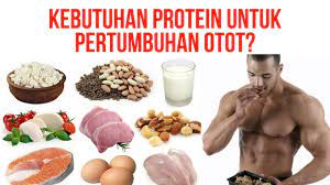 Check spelling or type a new query. Cara Menghitung Protein Harian Untuk Membangun Otot Dan Membakar Lemak Youtube