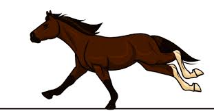 Ovipets A Virtual Pet Game Focused On Genetics And Breeding Horse Animation Animation Art Horse Drawings
