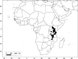 A Monographic Study Of The Oliniaceae Springerlink
