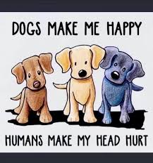 Meet and greets are conducted by appointment with approved applications. Bff Dog Rescue Nj Inc Home Facebook
