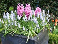 Les données personnelles collectées sont obligatoires pour nous permettre de vous adresser cette newsletter. 110 Idees De Pour Mon Balcon Et Ma Terrasse Gamm Vert Terrasse Jardins